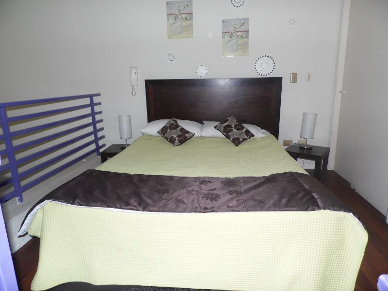 Santiago Apartamentos Centro エクステリア 写真